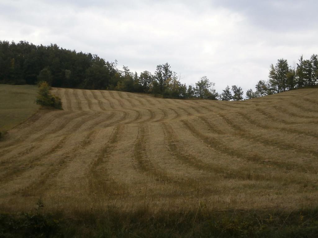 فيلا Societa Agricola Cacigolara بورجو فال دي تارو المظهر الخارجي الصورة